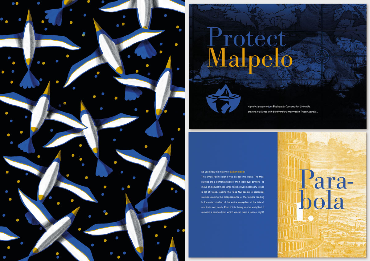 Protect Malpelo | Biodiversity Conservation Colombia